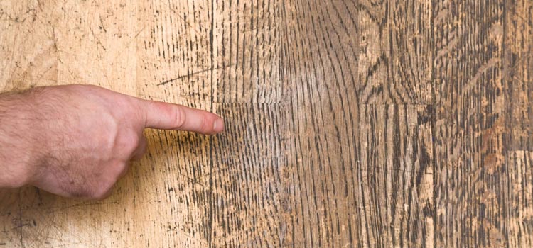 Wood Door Scratch Repair in Corona